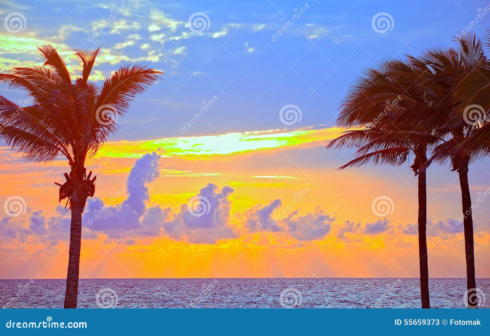 Lever De Soleil Dété De Miami Beach De Floride Ou Coucher