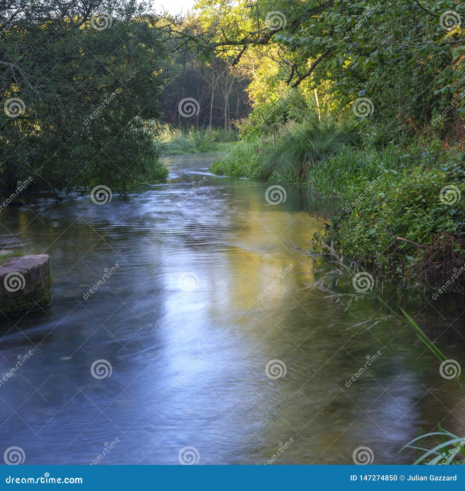 Autumn Sunrise On The River Itchen A Famous Chalk Bed Stream Renowned For Fly Fishing Between Ovington And Itchen Abbas In Photo Stock Image Du Chalk Ovington 147274850