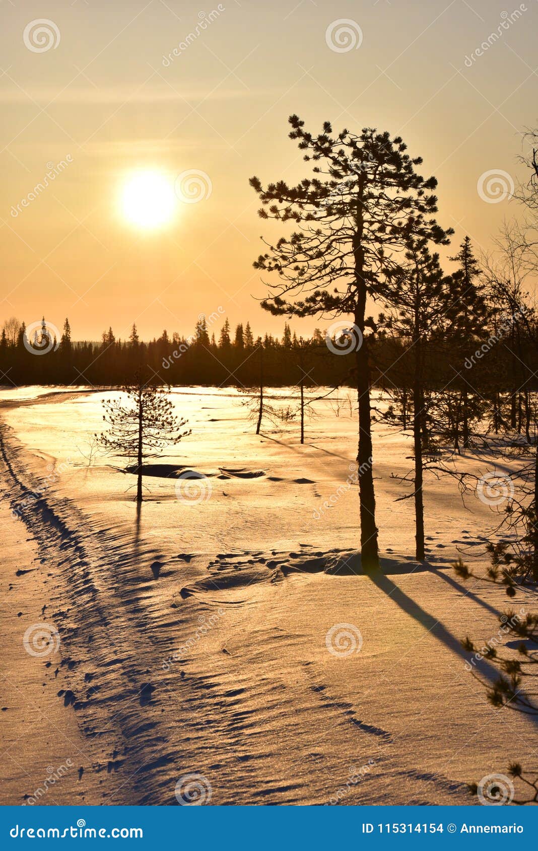 Lever De Soleil En Laponie Finlandaise Photo Stock Image