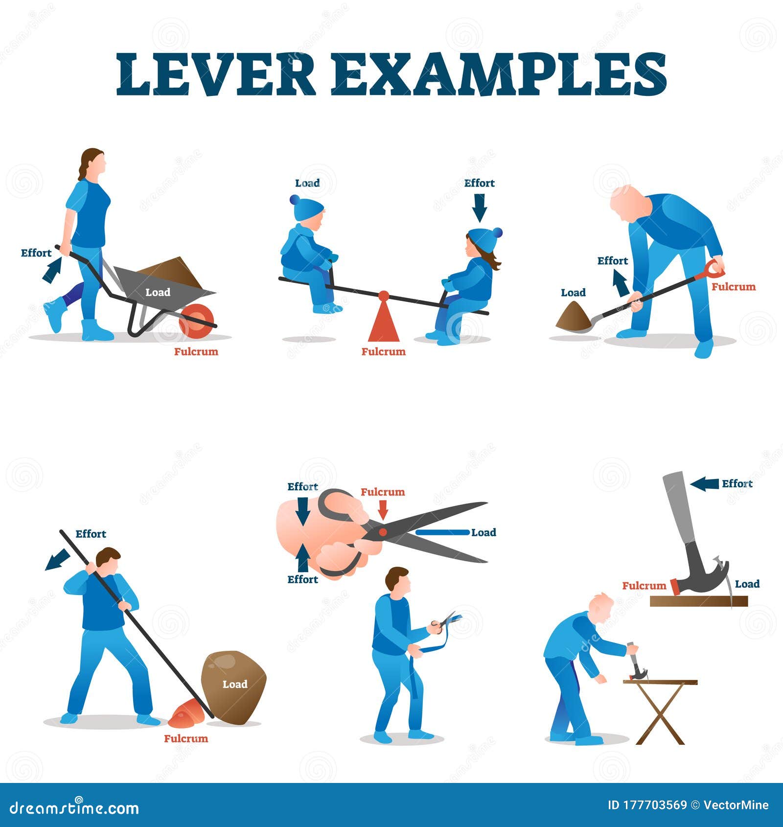 lever examples  . labeled load, effort, fulcrum collection