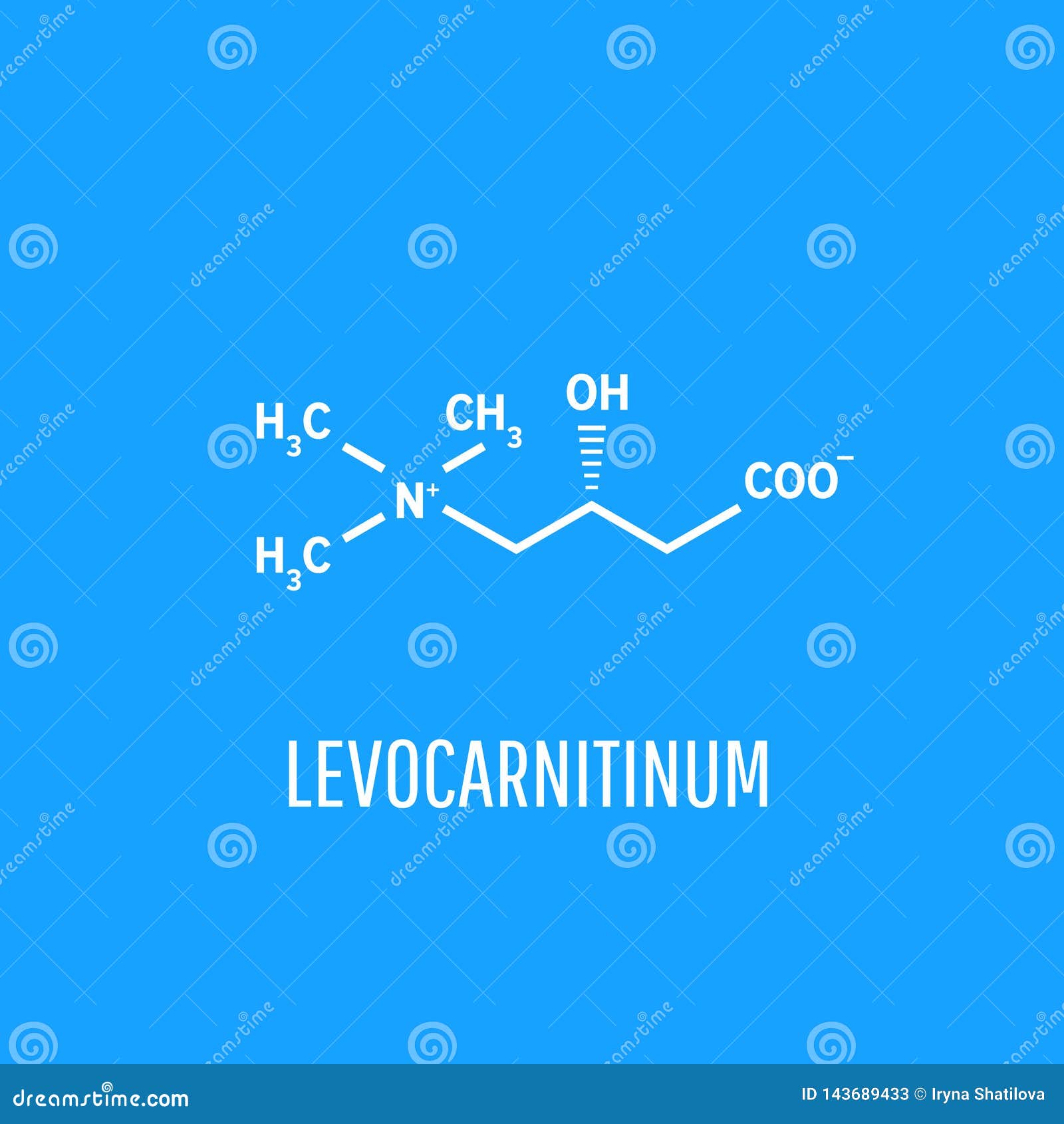 Acetylcarnitine Molecule, Structural Chemical Formula, Ballandstick