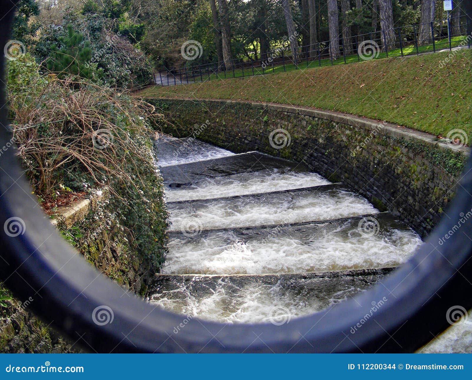 LEVY of WATER FLOWING FAST in PARK Editorial Stock Image - Image of  flowing, bushes: 112200344