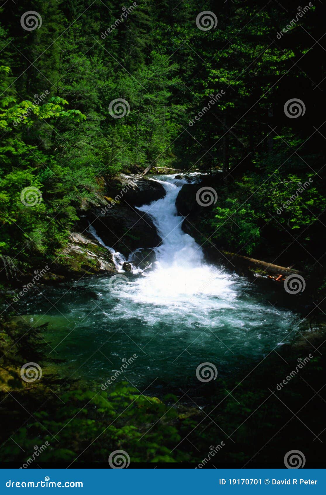 lewis river falls washington