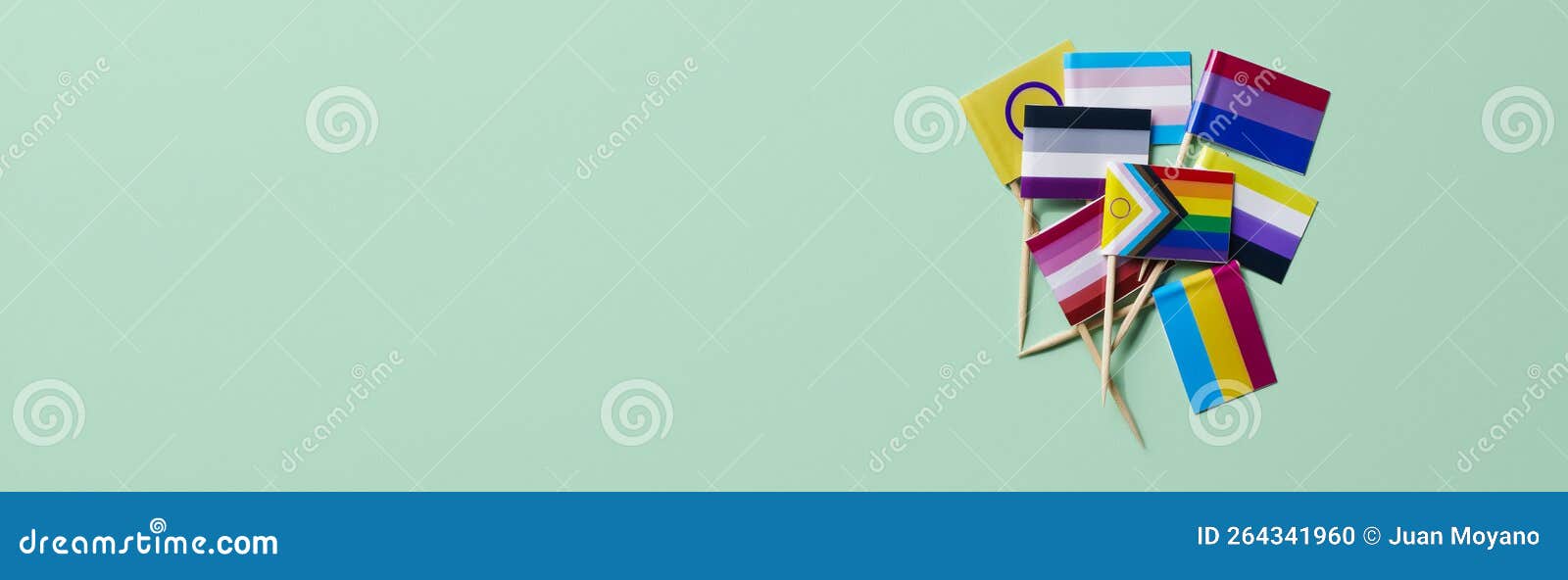 lgbtiqa flags, web banner format