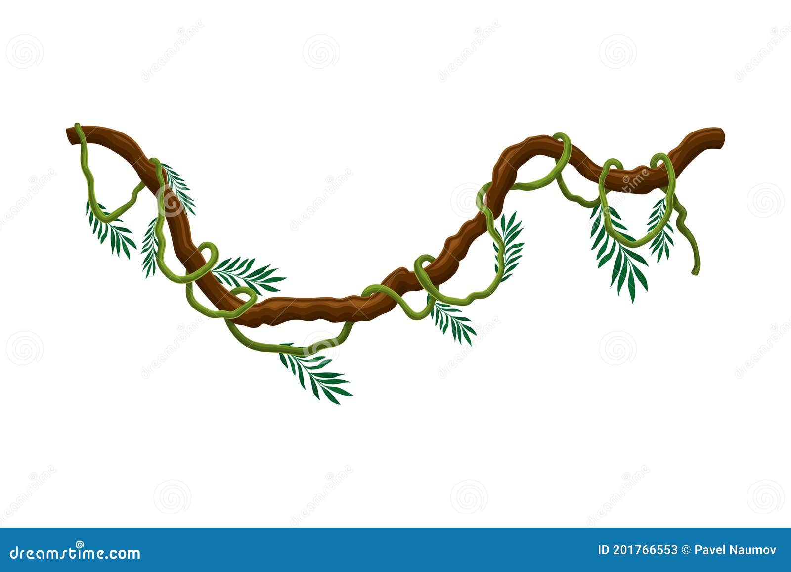 Liana As Long-stemmed Woody Vine Climbing And Tangled Around Tree