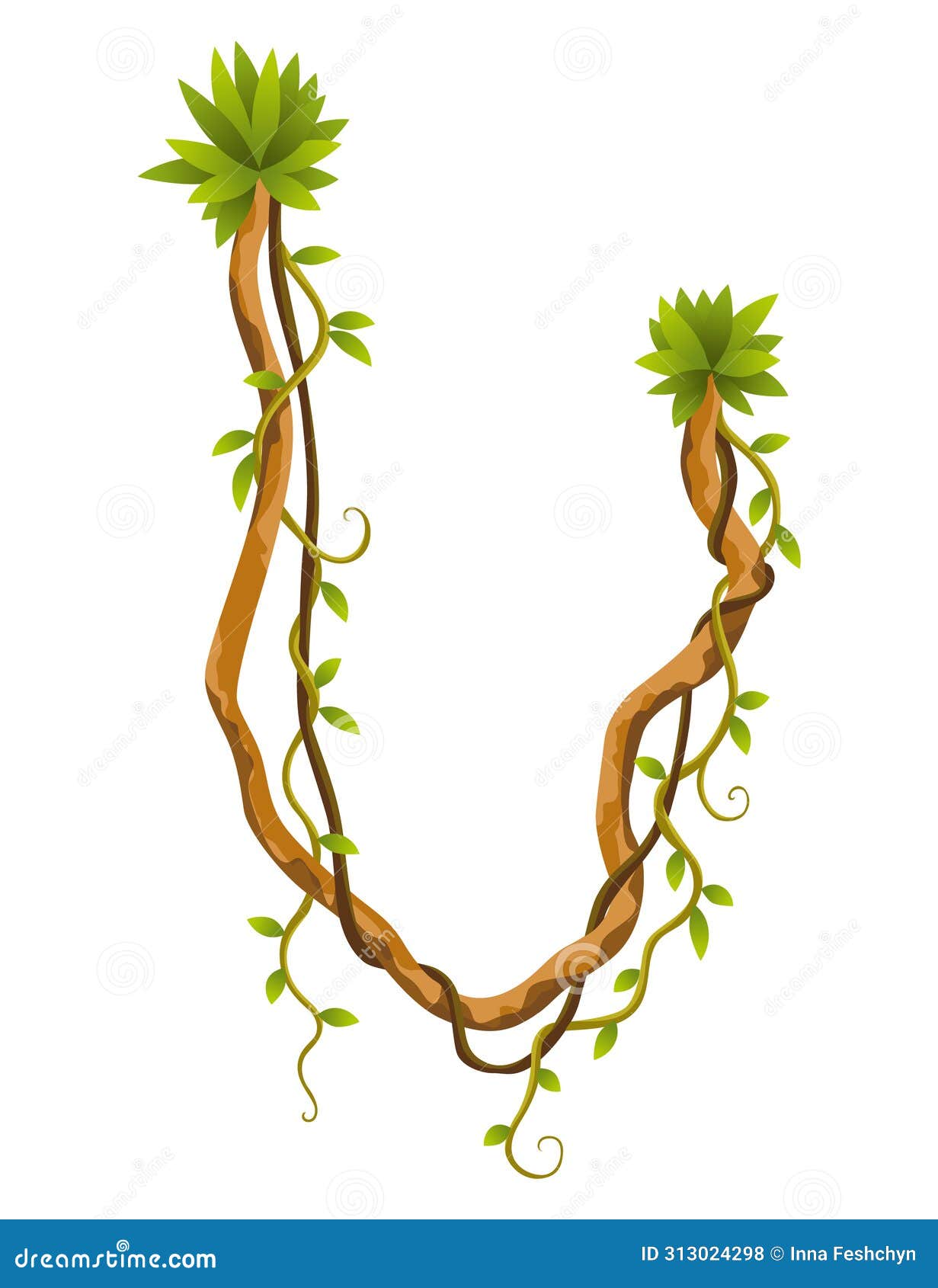liana branch. twisted wild jungle vine plants. woody natural tropical rainforest, exotic botany .  