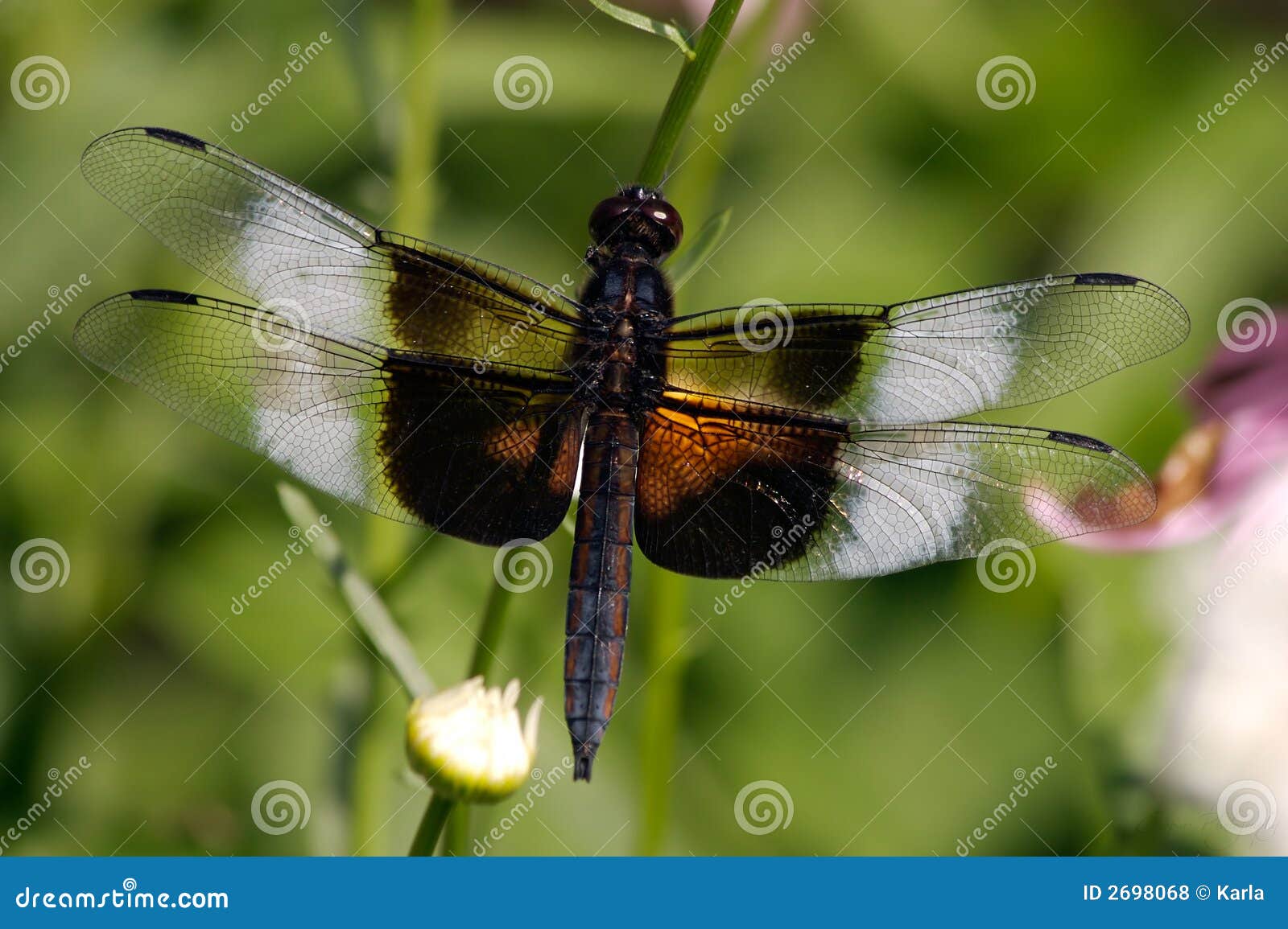 y provincia y provincia, image size:1600x1155