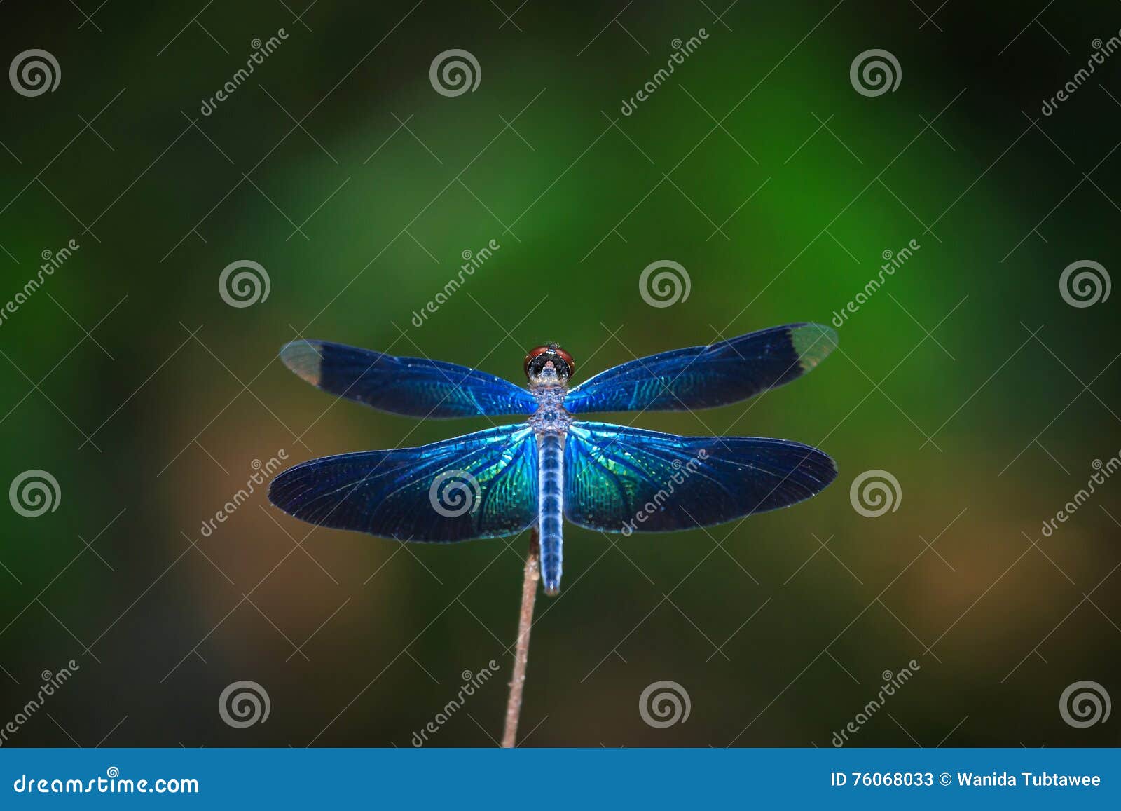 y provincia y provincia, image size:1600x1157