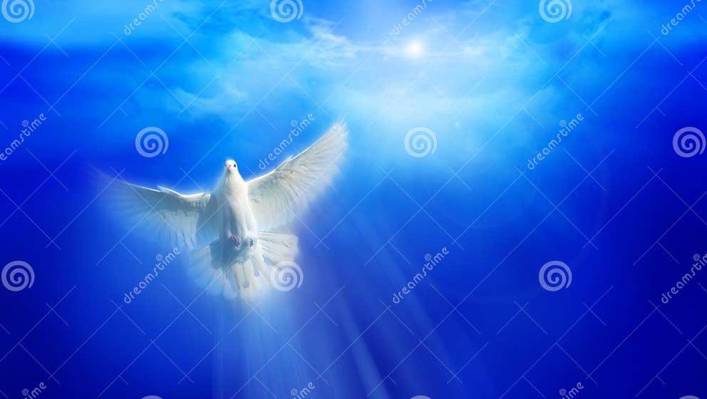 Liberty stock image. Image of high, clear, blue, faith - 12546531