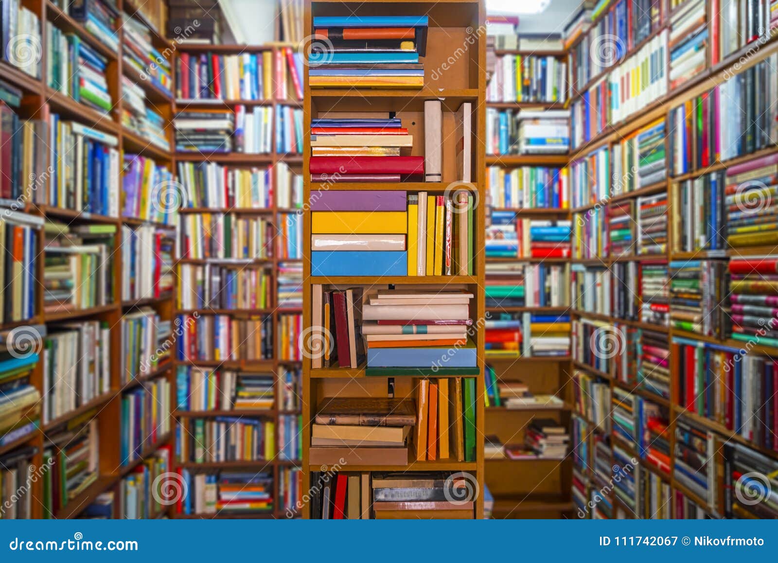 La photo d'une salle de librairie a rempli des livres