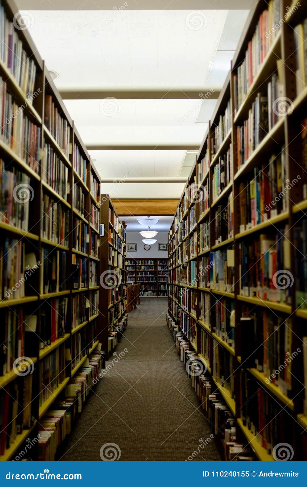 library aisle and book stacks