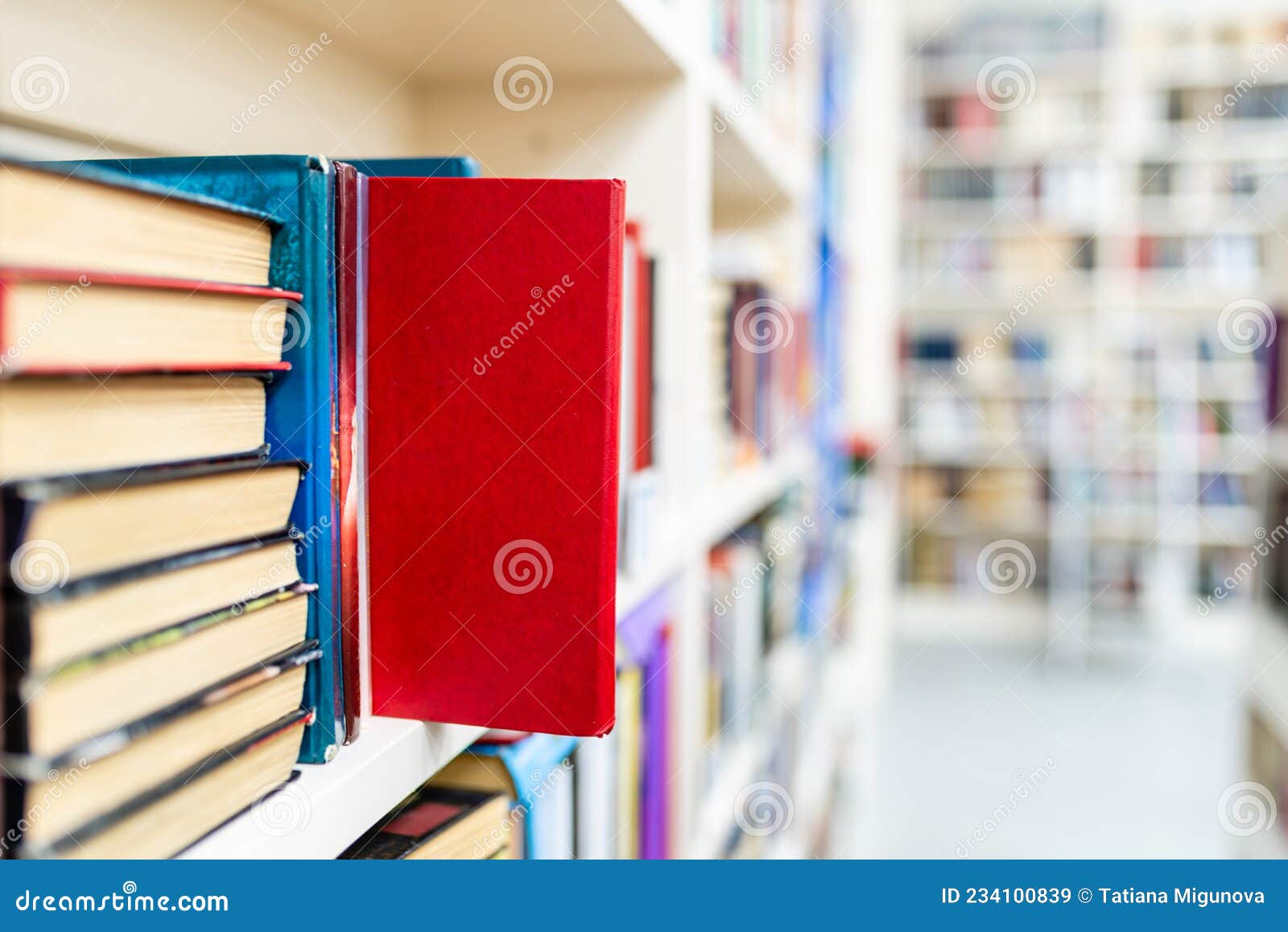 Library with Bookcases. Many Different Books on the Shelves. Large Selection of Books in a