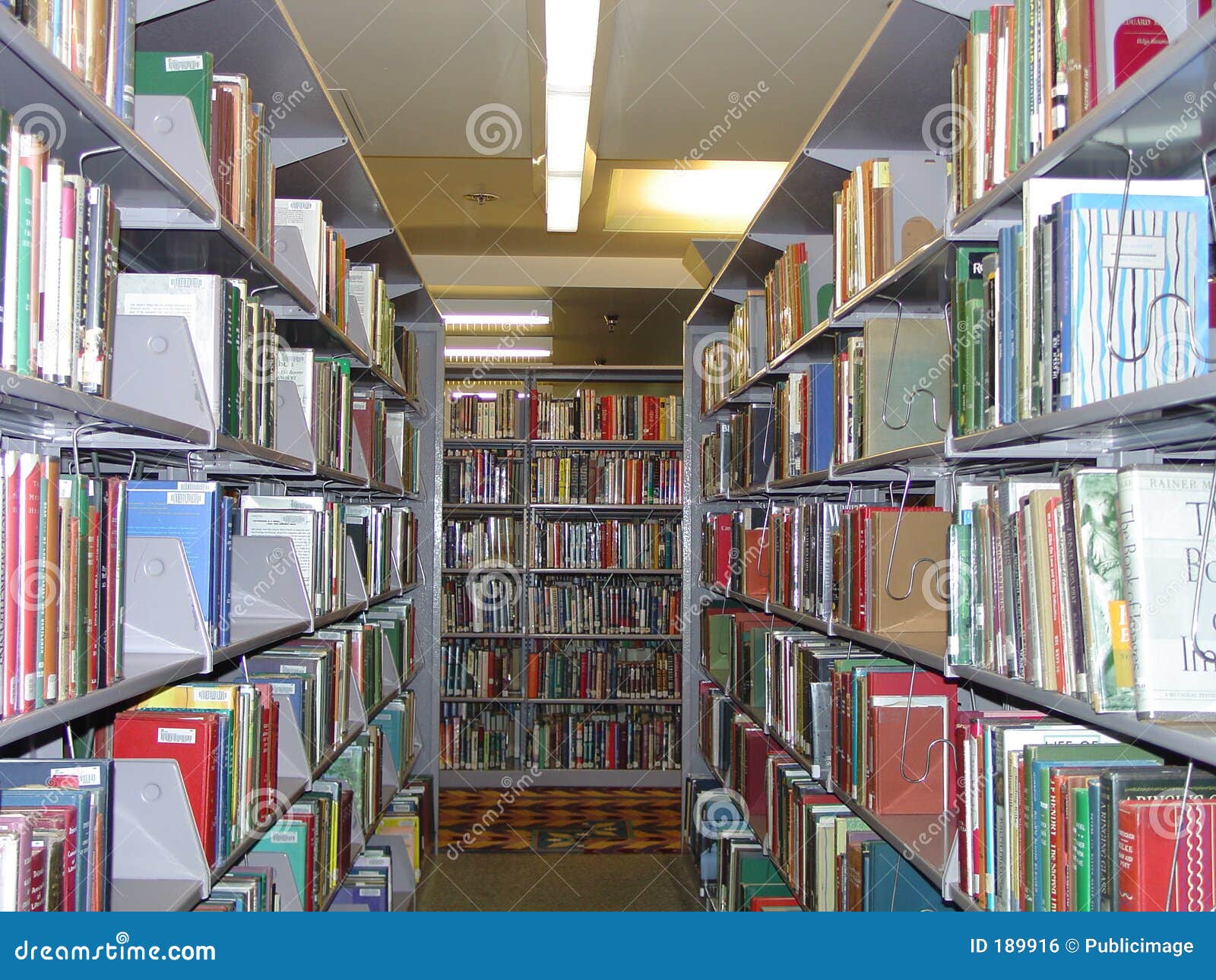 Library Books stock photo. Image of book, bookcase, rack ...