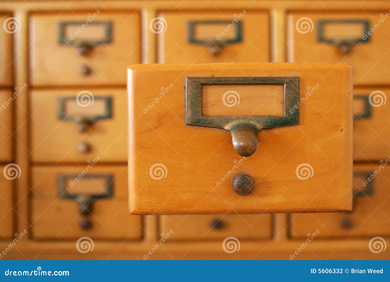 Library Card Drawer Stock Photo Image Of Library System 5606332