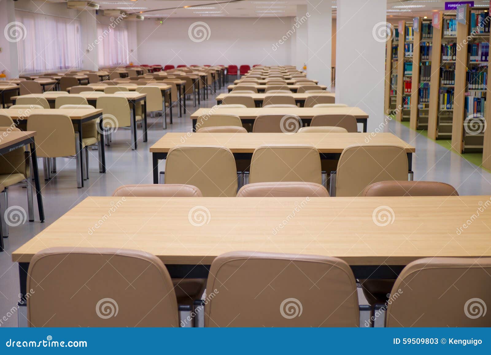 In the library stock image. Image of chair, reading, area 59509803