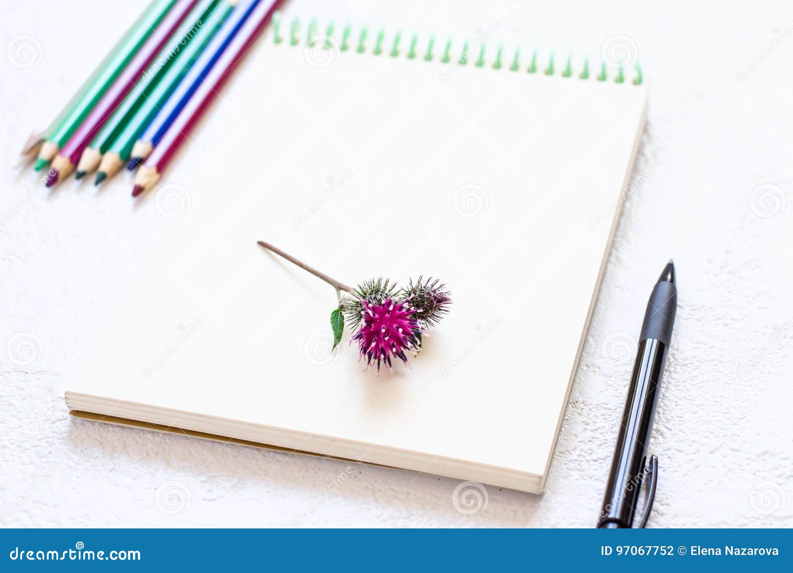 Libreta Para Dibujar Y El Sistema De Lápices En Tonos Verdes Púrpuras  Naturales Foto de archivo - Imagen de hierba, medicina: 97067752