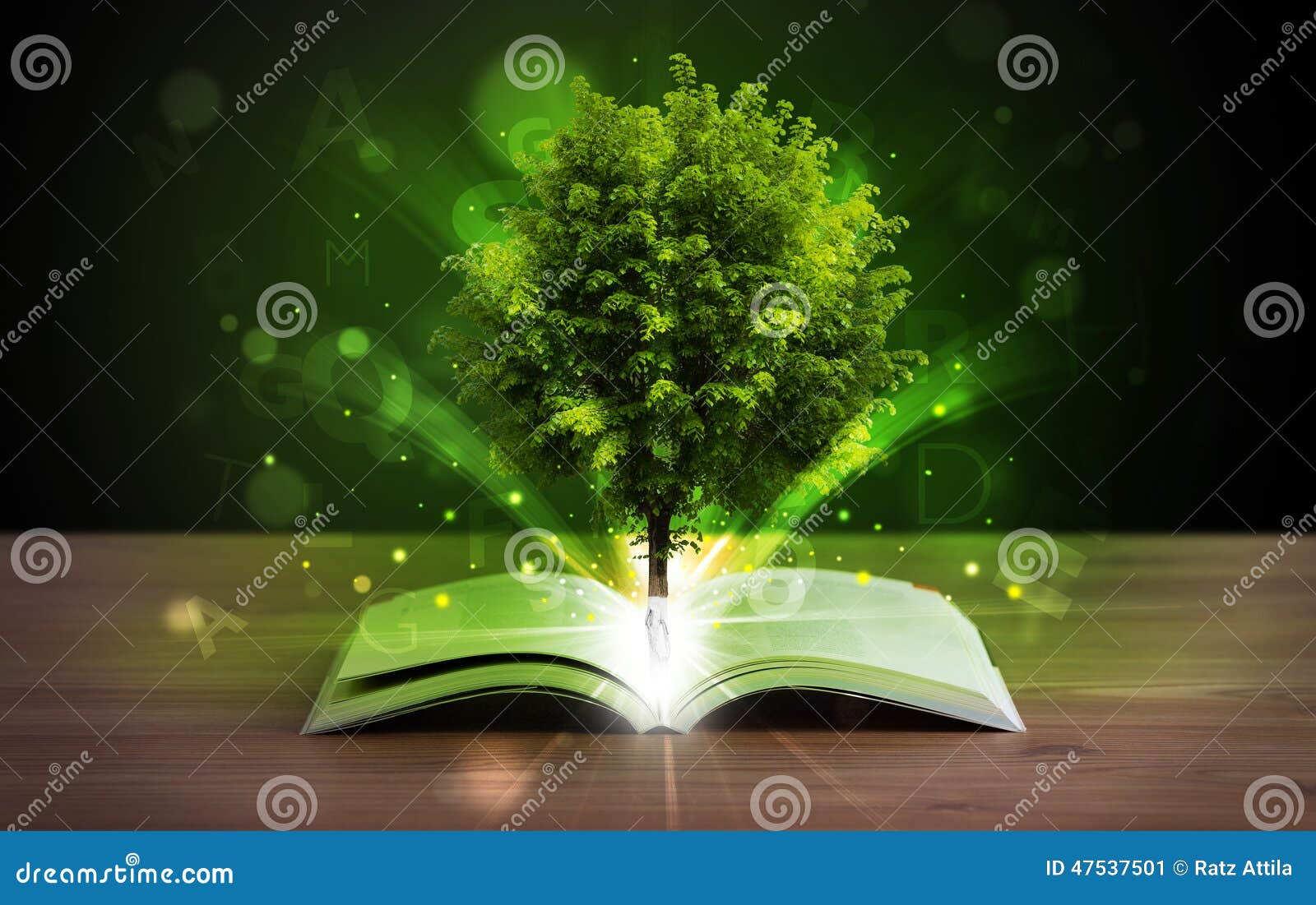 Libro Aperto Con L'albero Ed I Raggi Di Luce Verdi Magici Immagine ...
