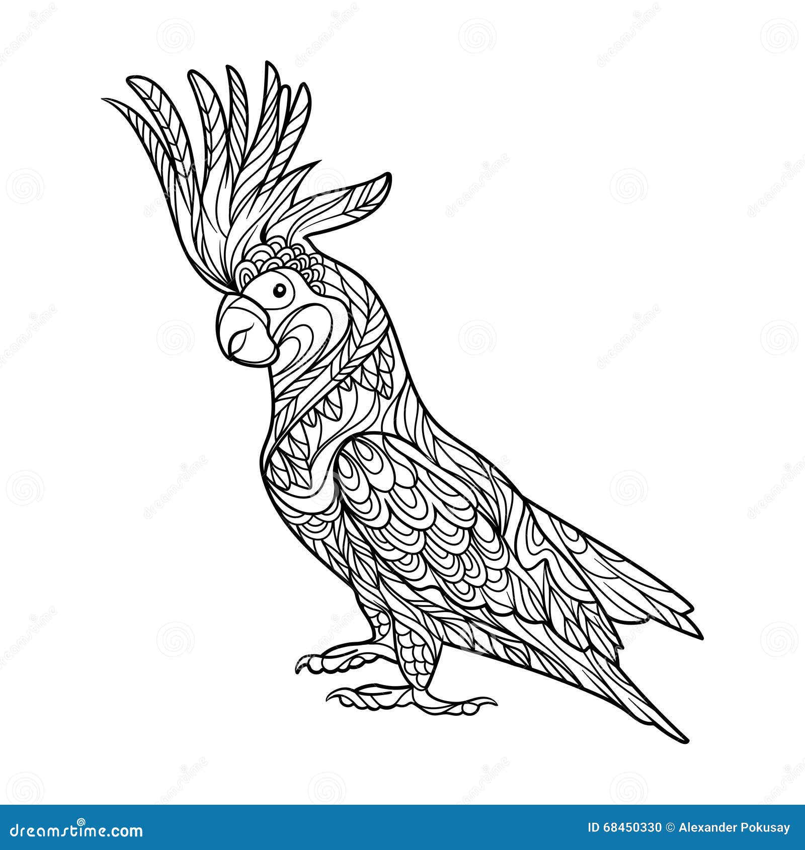 Libro da colorare del pappagallo di cacatua per il vettore degli adulti