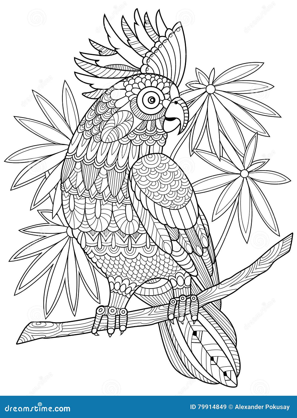 Disegni da colorare mandala pappagallo per adulti 6326041 Arte vettoriale a  Vecteezy
