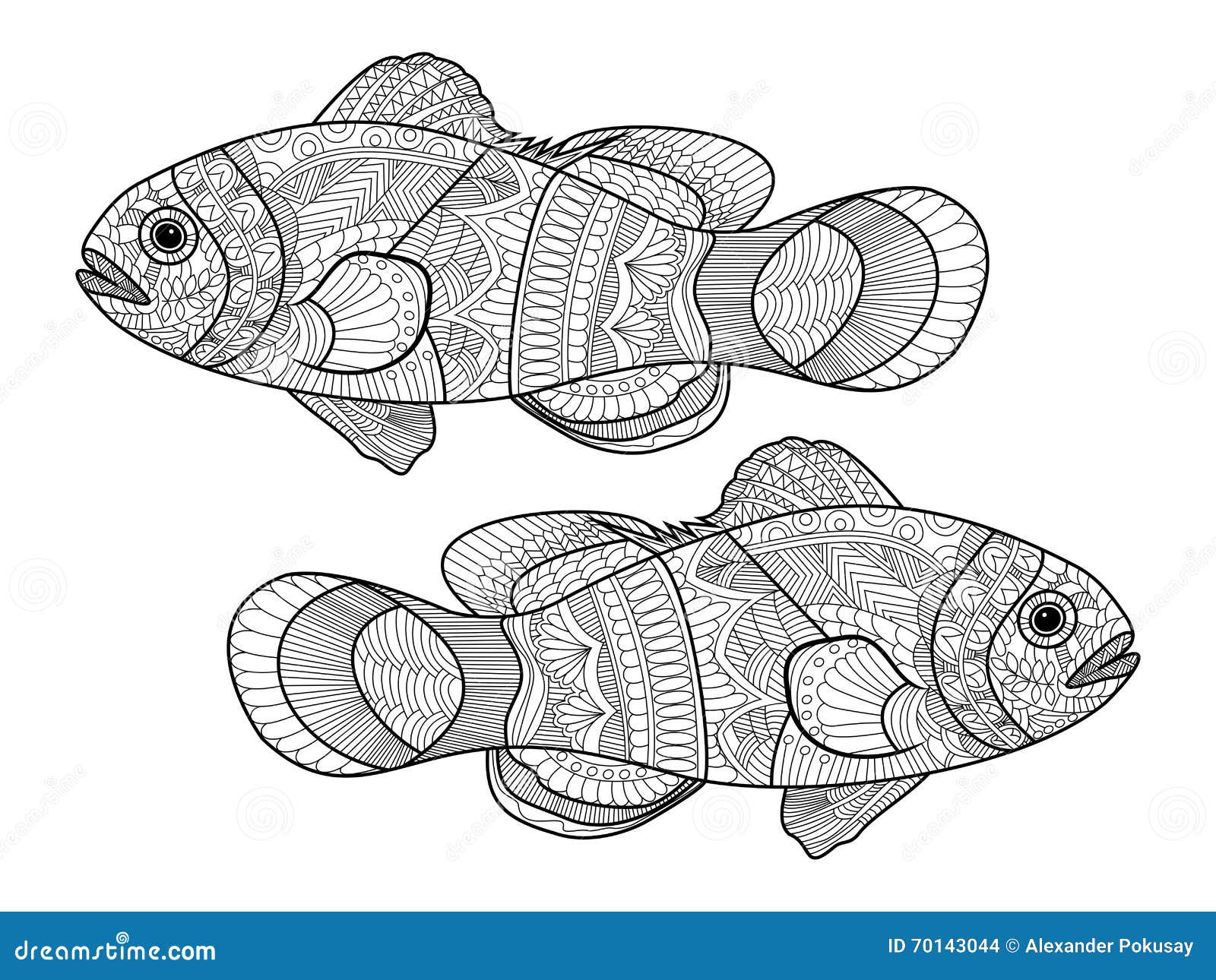 Libro da colorare del pesce del pagliaccio per il vettore degli adulti