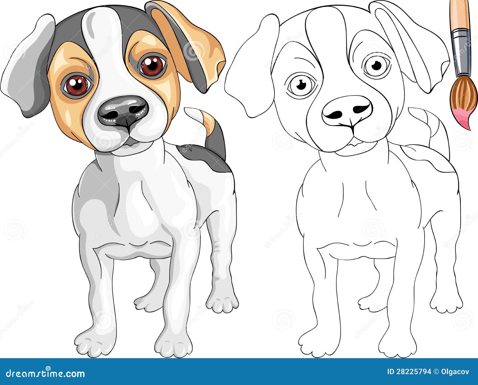 Libro da colorare di Jack Russell Terrier Immagini Stock