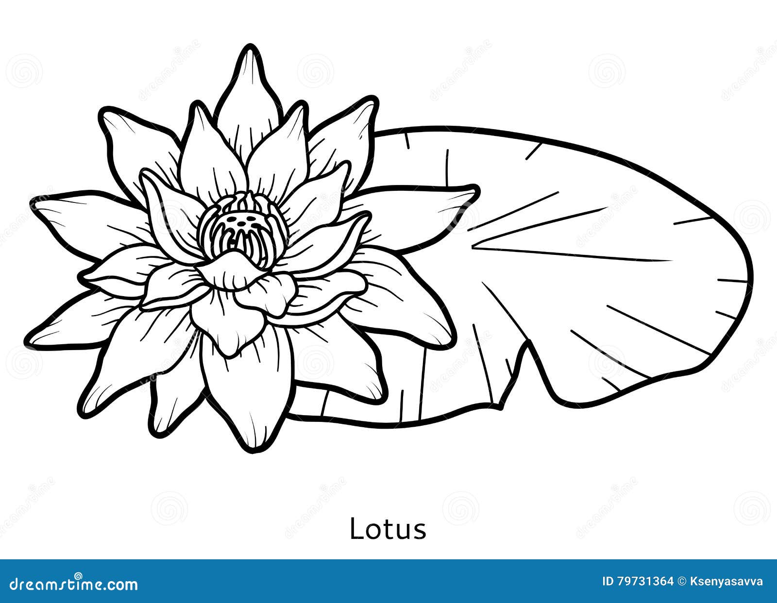 Libro da colorare fiore Lotus Immagini Stock
