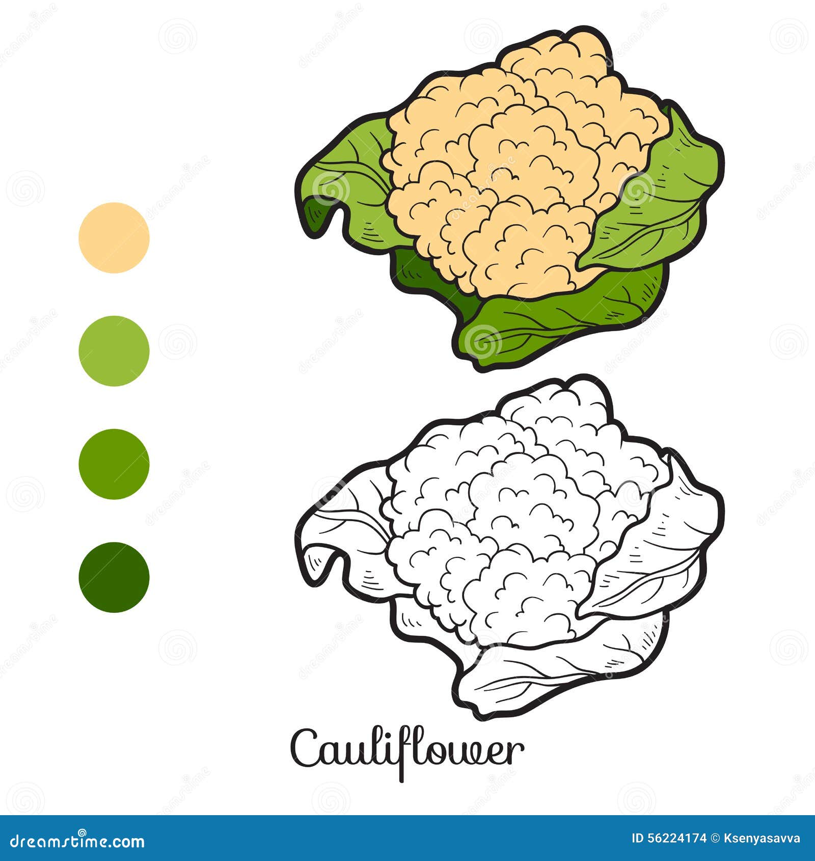 Libro da colorare frutta e verdure cavolfiore Immagini Stock