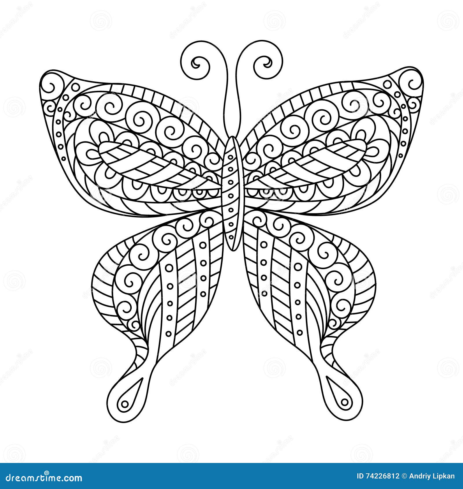 Libro da colorare per i bambini adulti e pi¹ anziani pagina Disegno di profilo Farfalla decorativa nel telaio