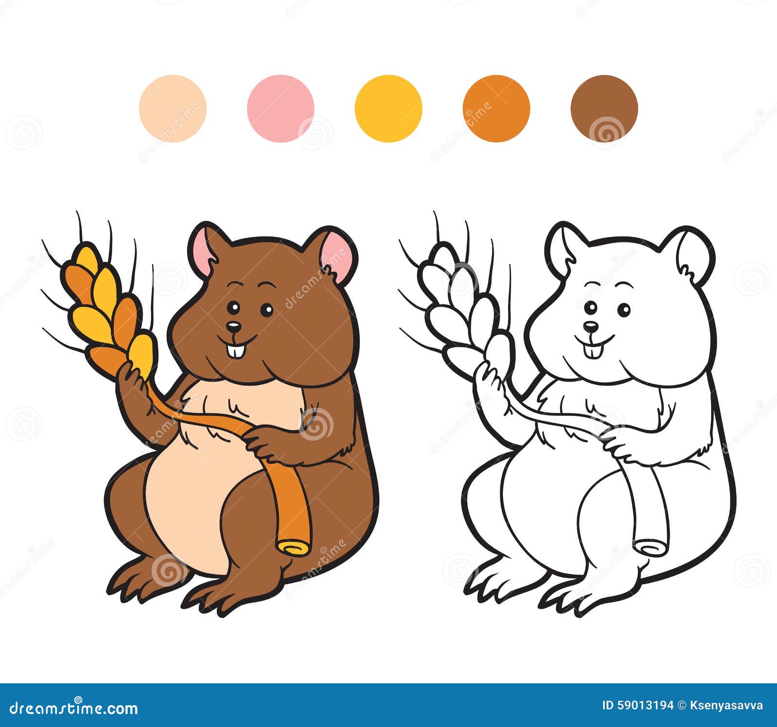 pix Mandala Criceto Da Colorare libro da colorare per i bambini animale del criceto illustrazione vettoriale illustrazione di amichevole domestico 59013194