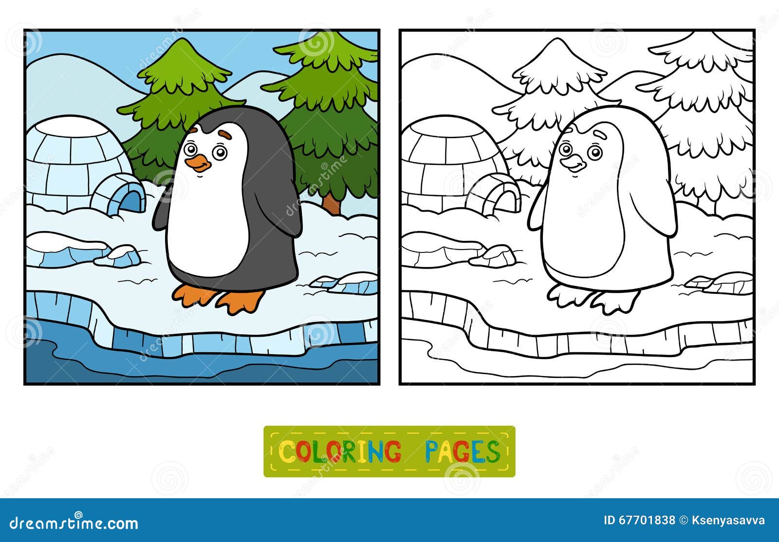 Libro da colorare pinguino e fondo