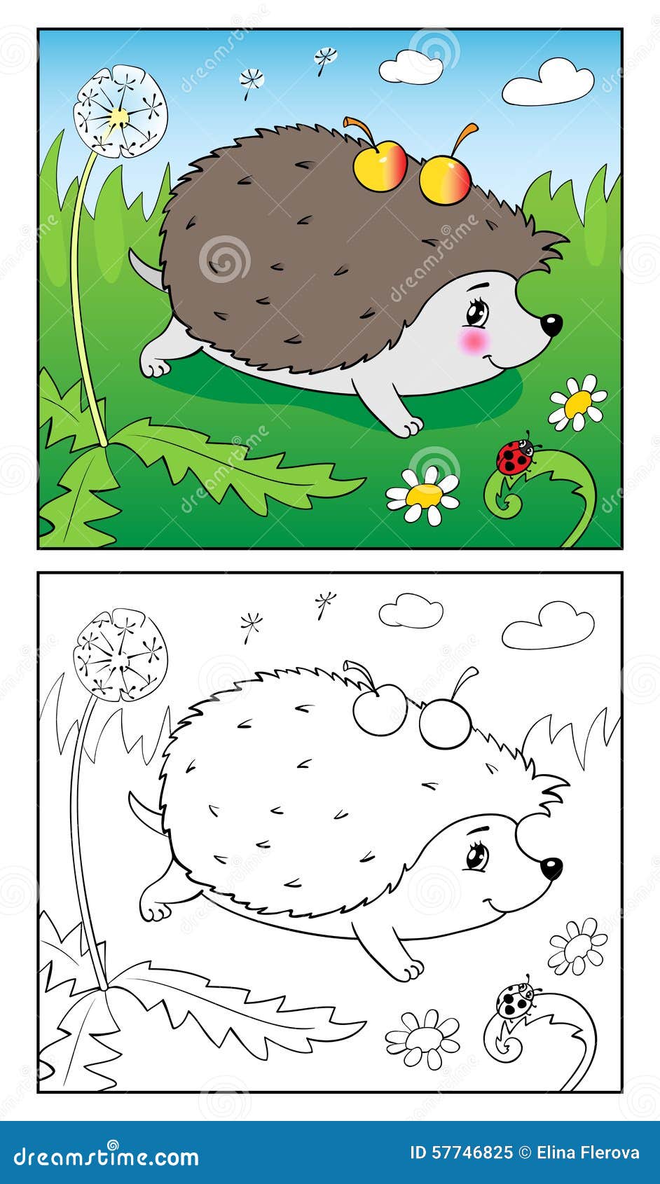 Libro di coloritura Illustrazione dell istrice e della coccinella per i bambini Libera da Diritti