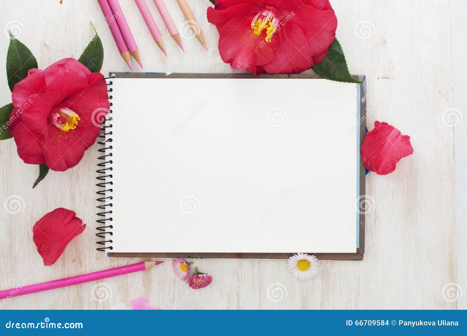 Libro di schizzo fiori e matite di colore Disegno messaggio