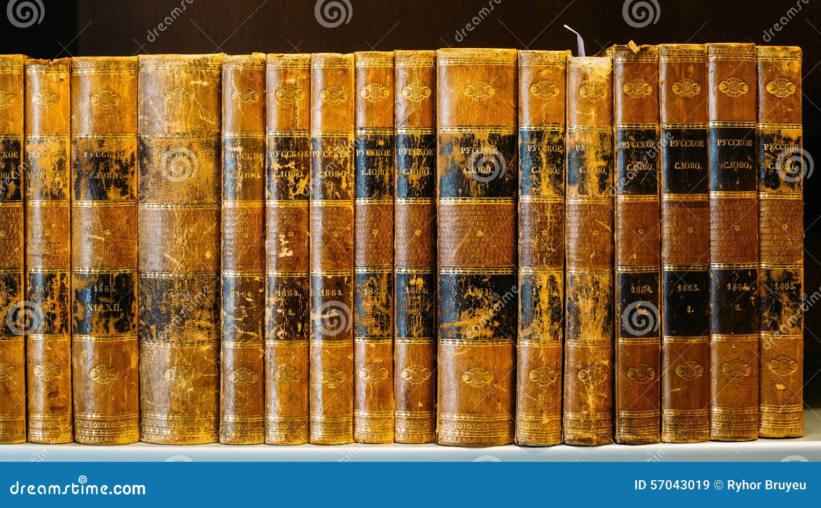 Libros Viejos Del Vintage En Shelfs De Madera En Biblioteca Imagen de