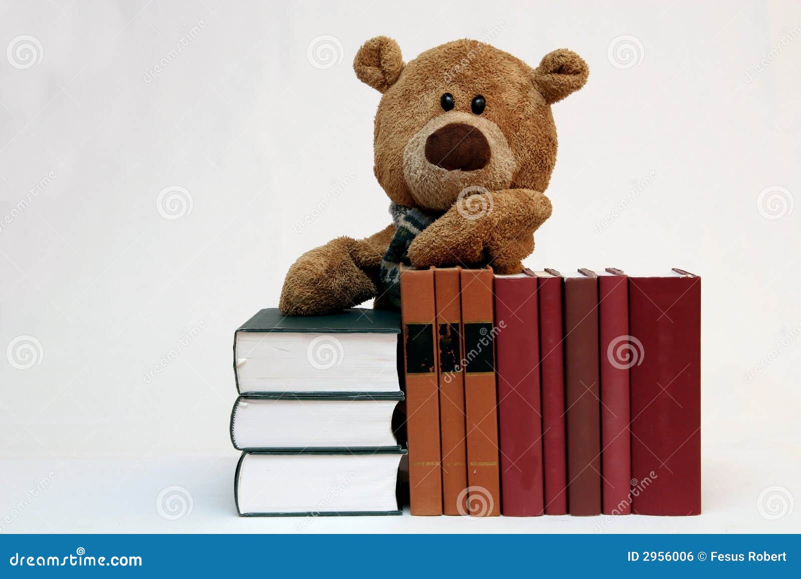 libros de peluche