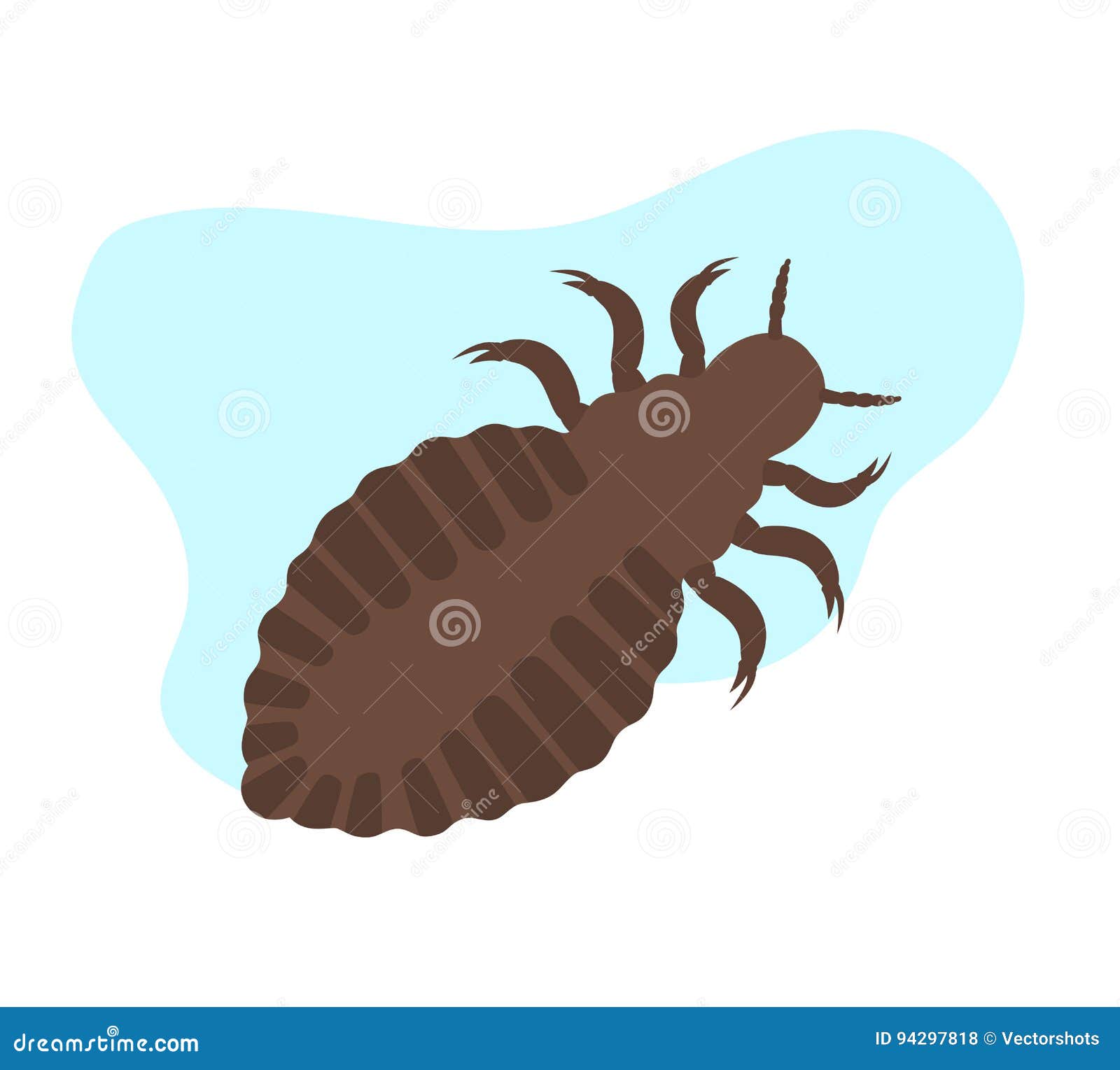 Lice Insect stock vector. Illustration of pediculus, fauna - 94297818