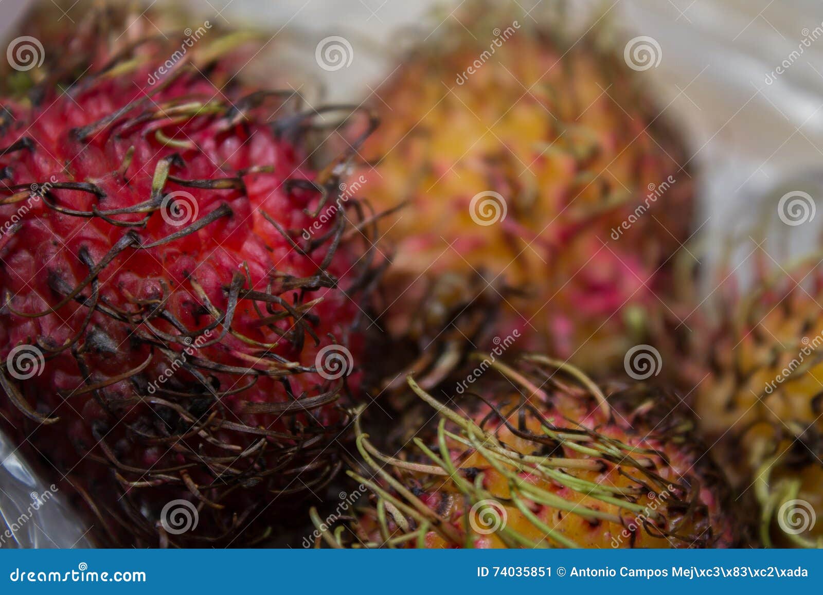 lichi fruit