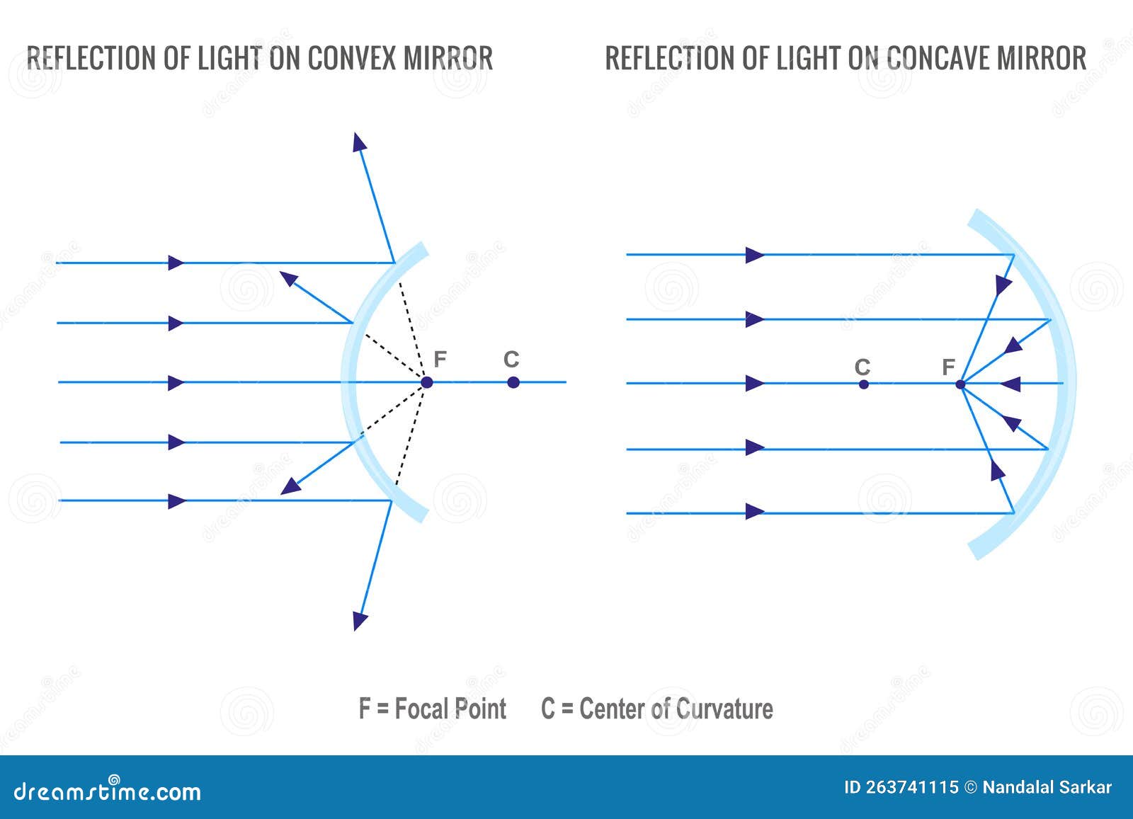 Lichtreflektion Auf Konkaven Spiegel Und Konvexe Spiegel Vektor Abbildung -  Illustration von länge, biegung: 263741115