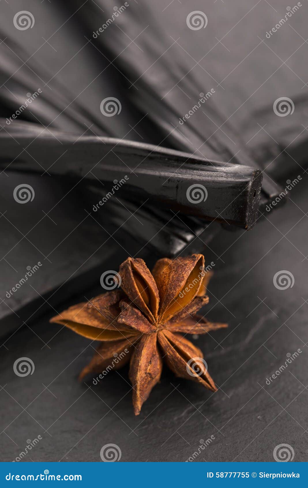 Licorice Candy with Star Anise Stock Image Image of aniseed, gummy