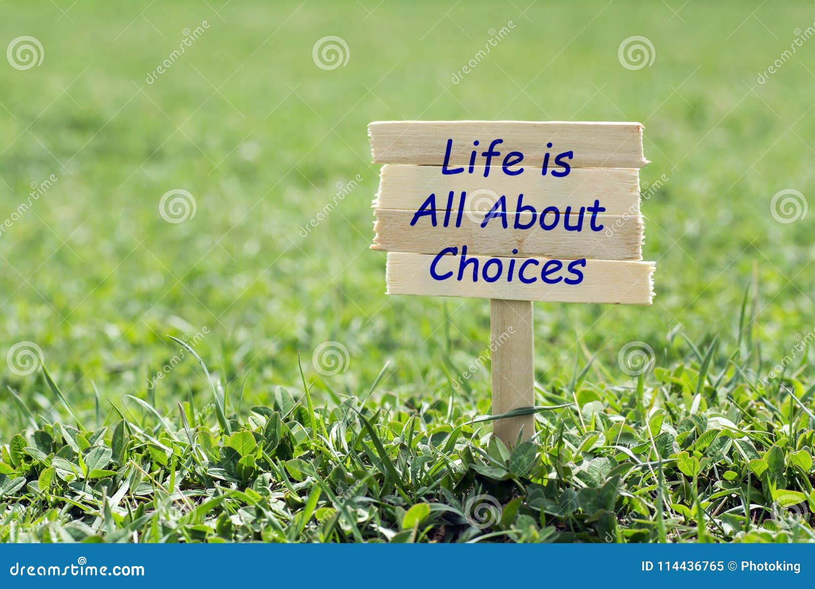 life is all about choices