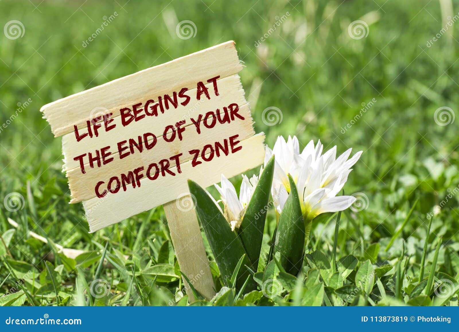 life begins at the end of your comfort zone