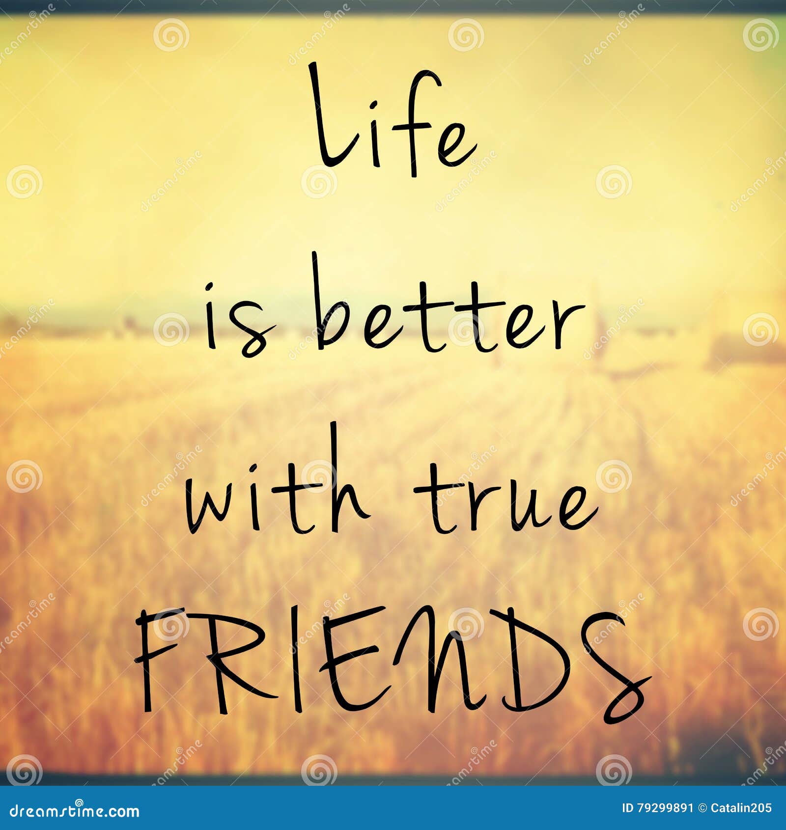 Life is Better with True Friends Quote Stock Illustration ...