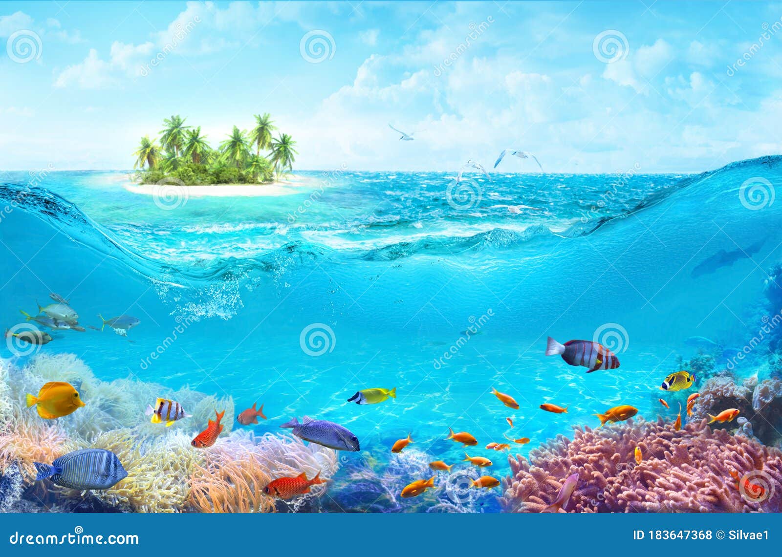 Life in the Coral Reef. Ecosystem. Stock Photo - Image of marine, pacific:  183647368