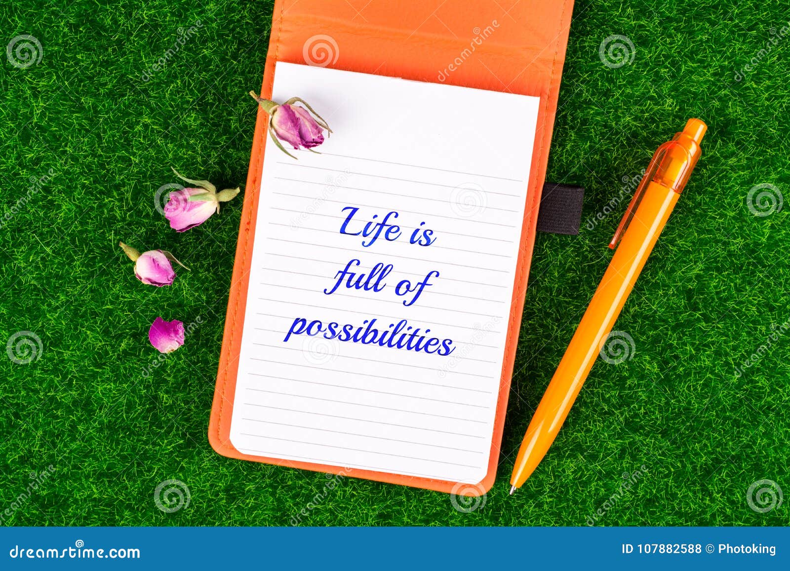 life is full of possibilities