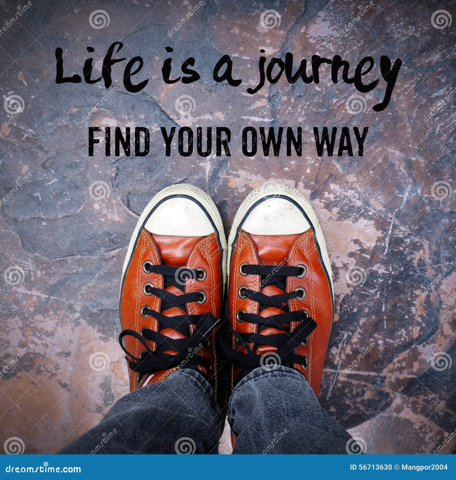 Life is a journey Find your own way Quotation