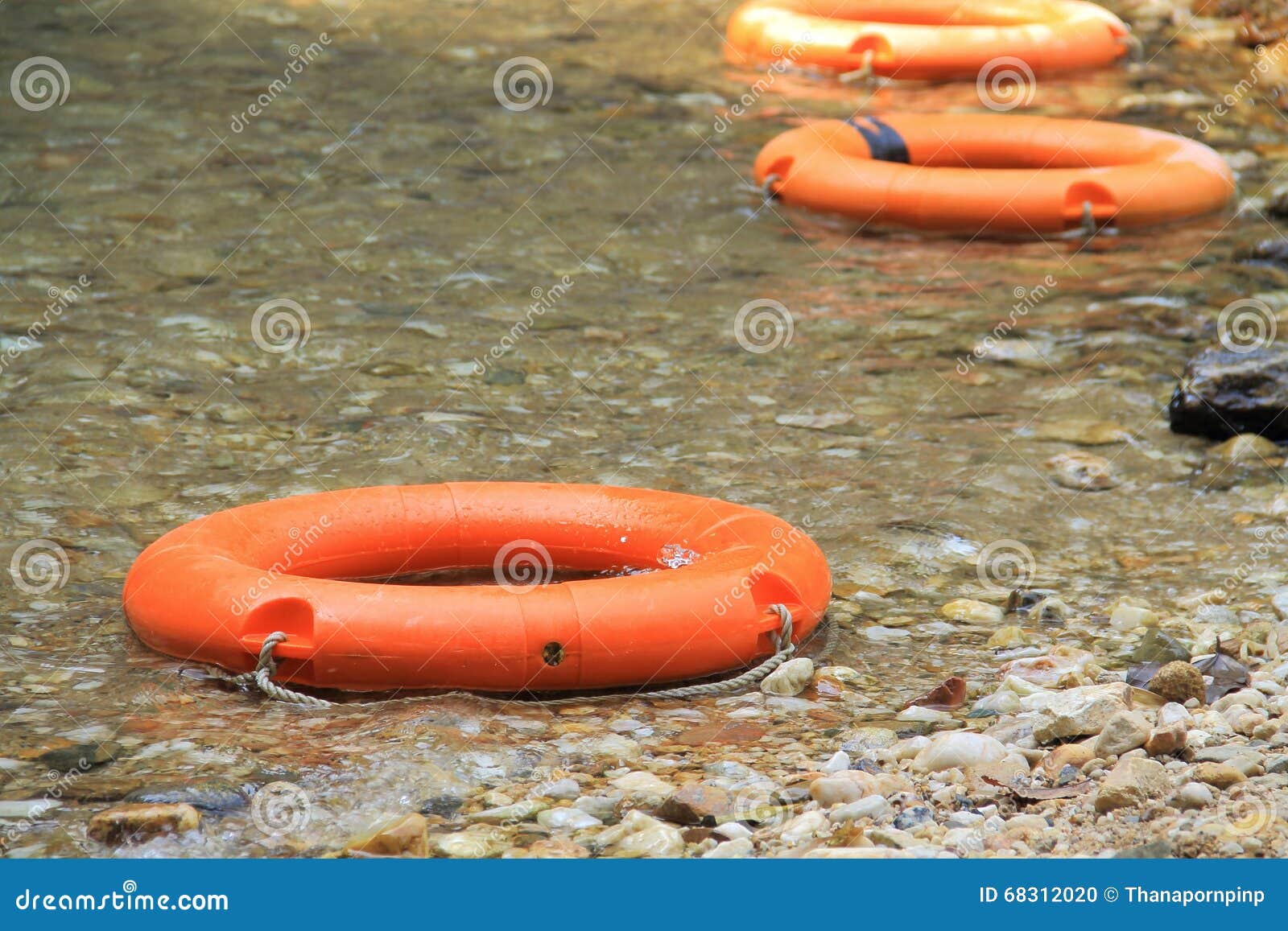 Life preserver stock photo. Image of floatation, pool 68312020