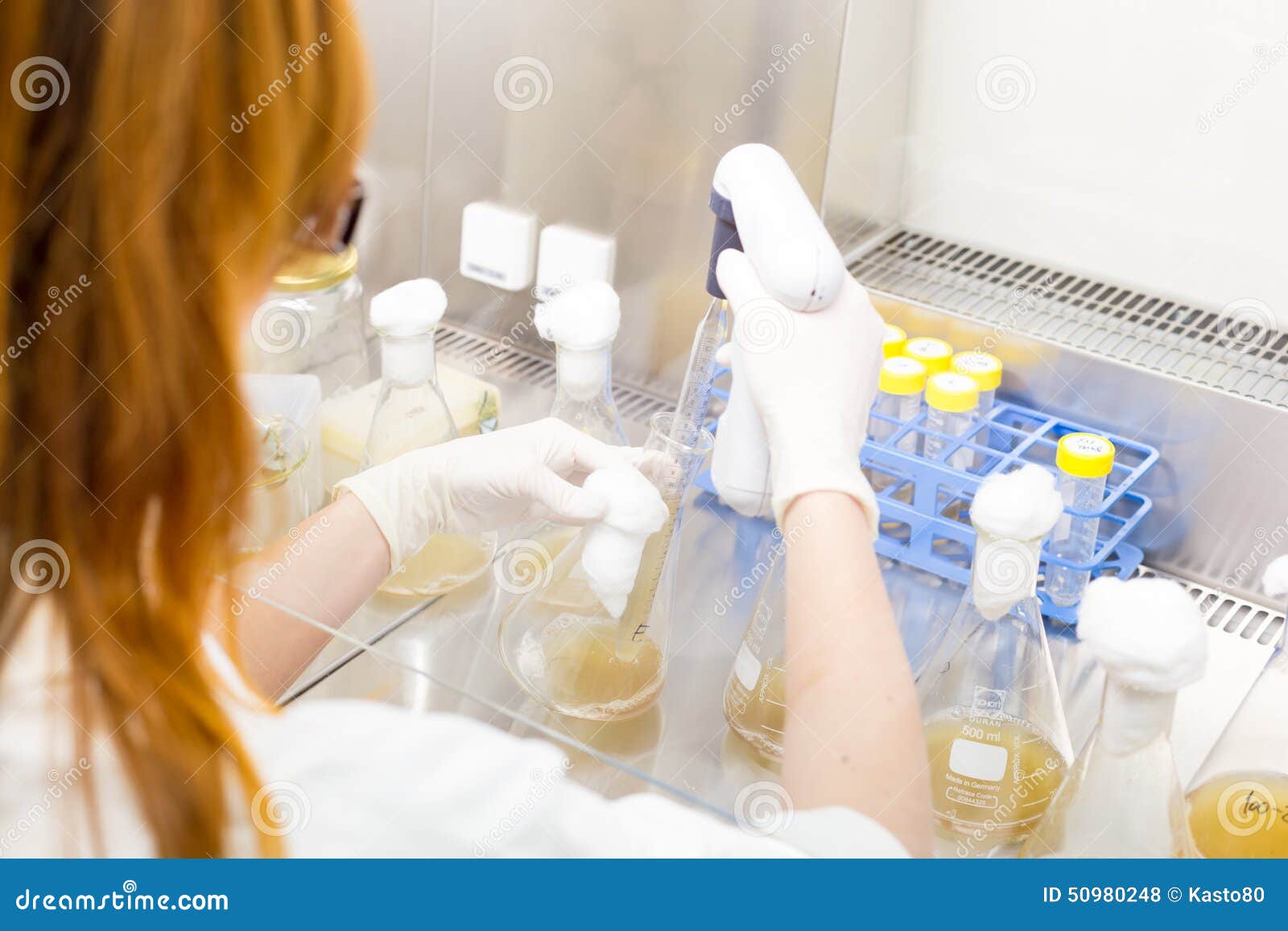 life scientist researching in the laboratory.