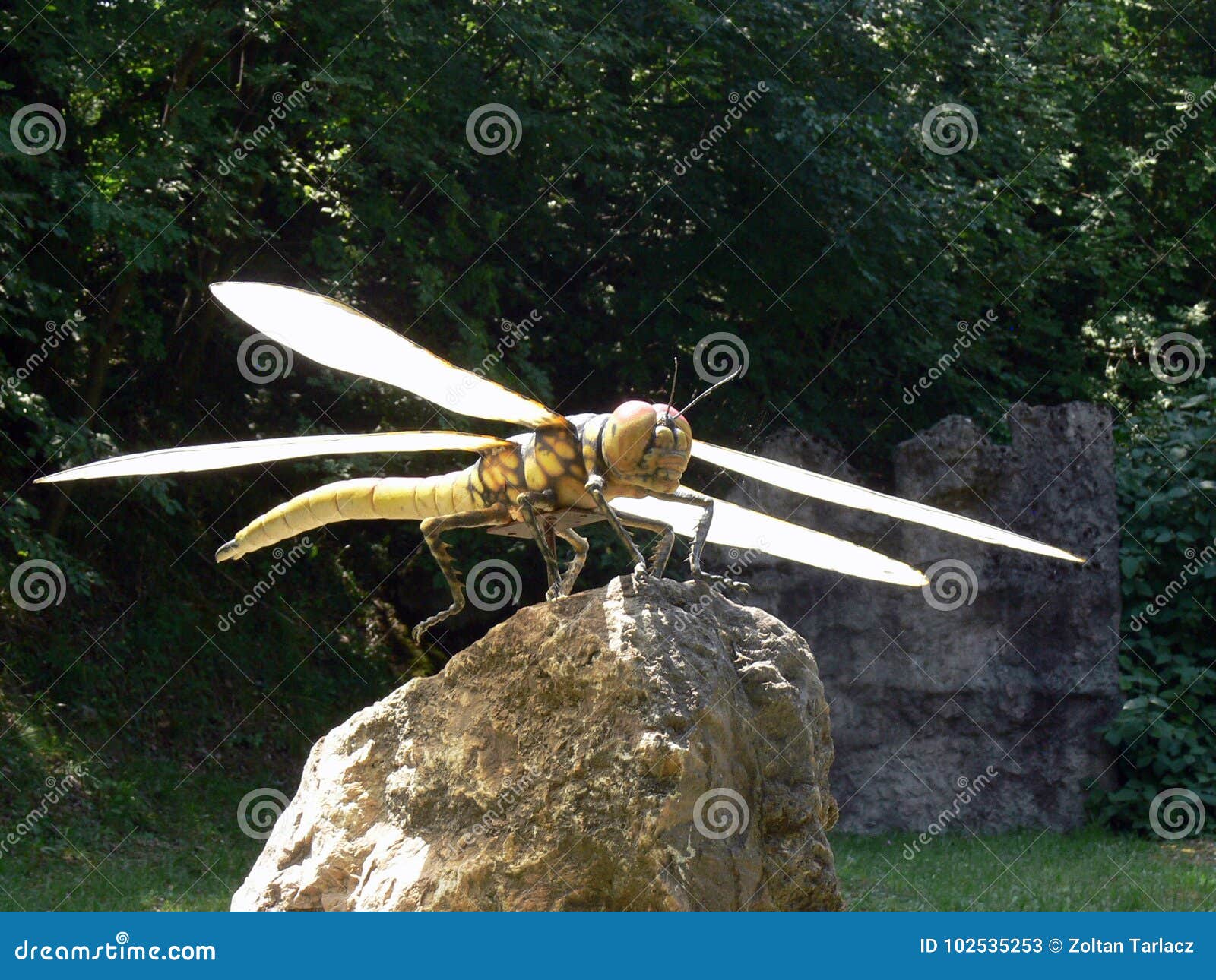 giant dragonfly extinct