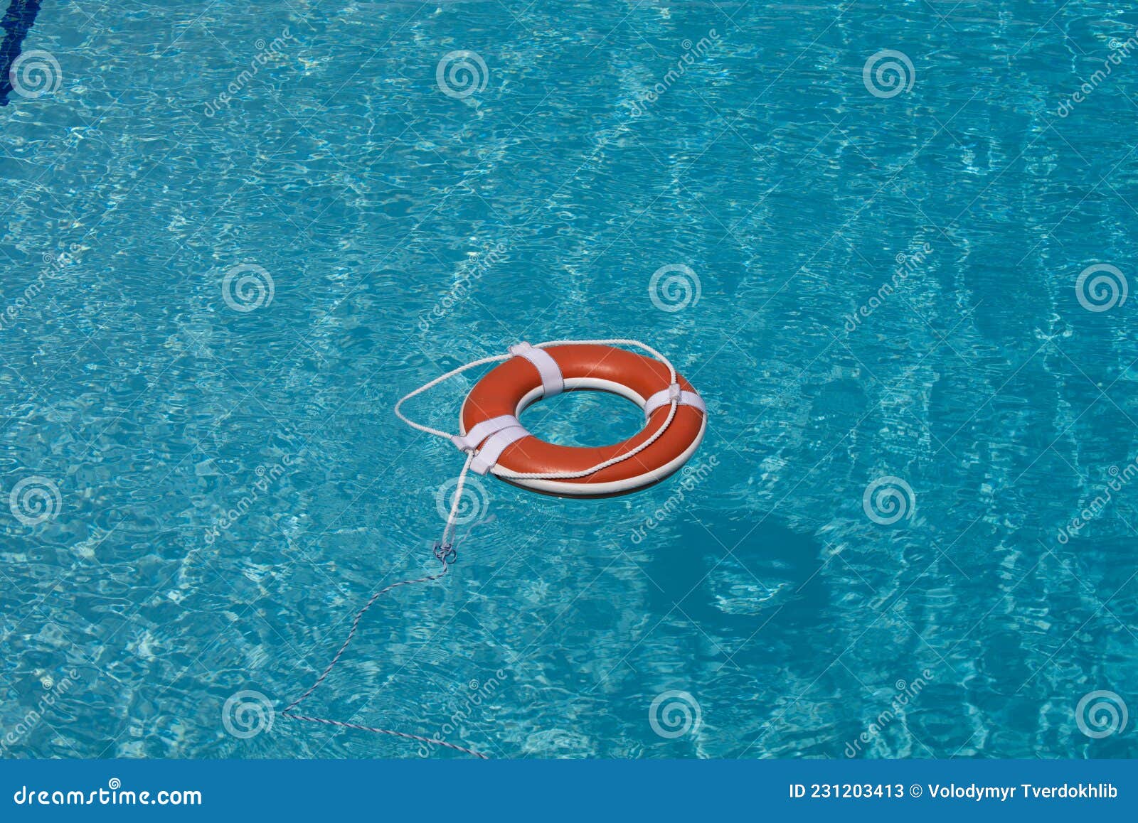 Lifebuoy in Swimming Pool. Summer Vacation Concept. Life Buoy in Water ...