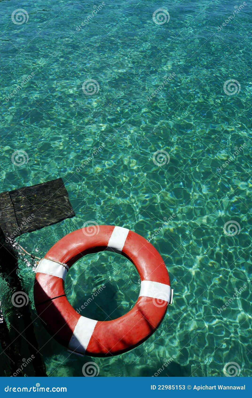 Lifesaver on Green Water Surface Stock Image - Image of live, land ...