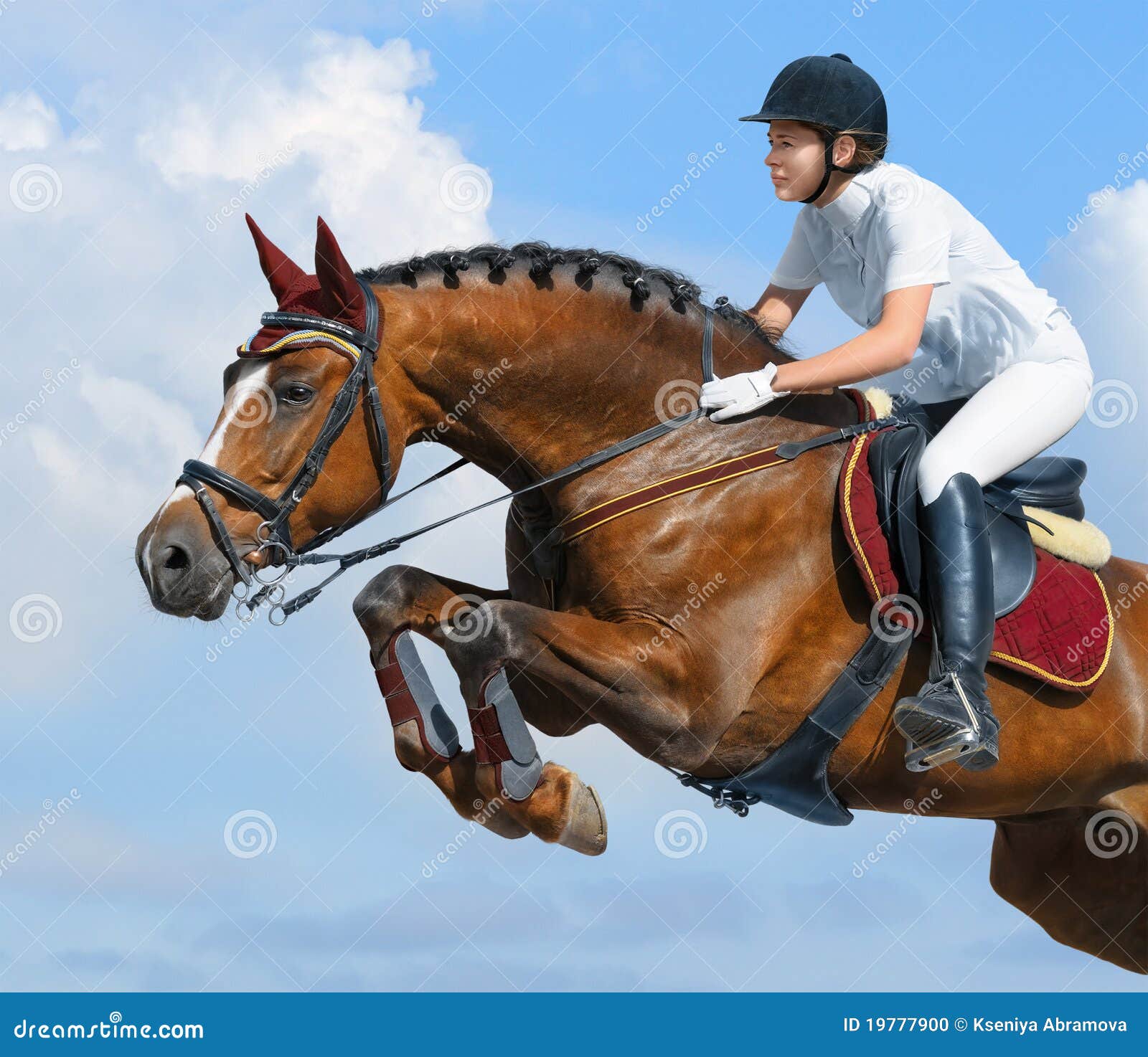 Ligação em ponte equestre - horsewoman e égua do louro. Mulher nova que salta com cavalo de louro